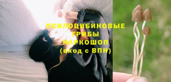 первитин Алексин